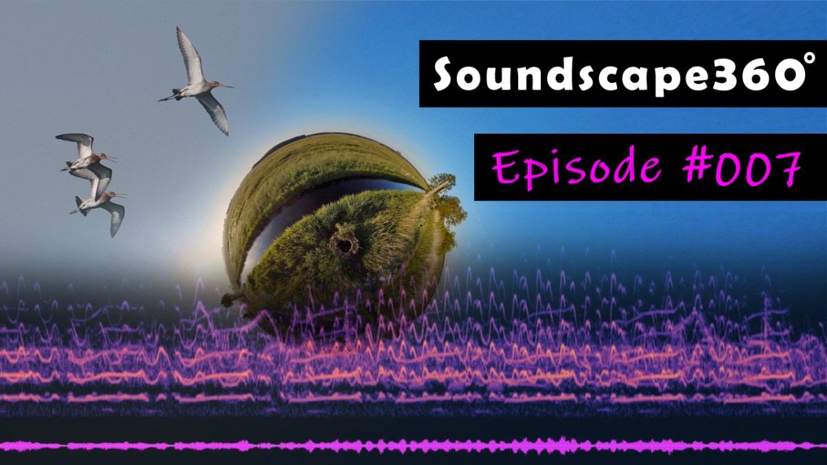 The vibrant sound of meadows and pastures with calling curlews, godwits and&nbsp;lapwings