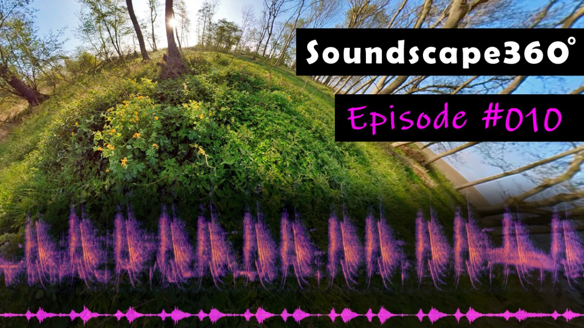 Song battle between Thrush Nightingale and Icterine&nbsp;Warbler