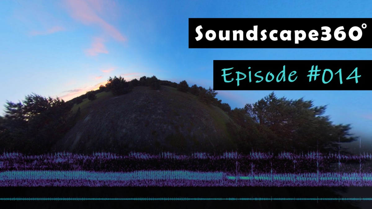 Nightfall with European&nbsp;Nightjar